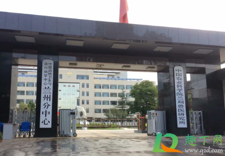 布病现在是转阴了还用吃药吗(布病转阴了算是痊愈吗)