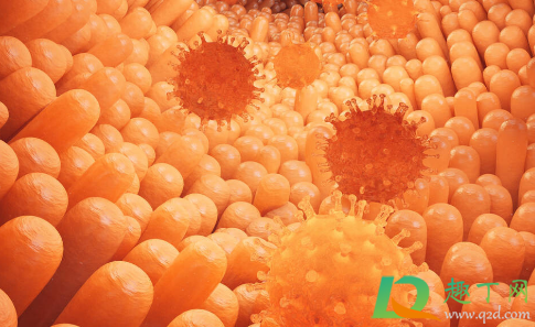 兰州布病感染是什么时候开始的(兰州布病是传染病吗)