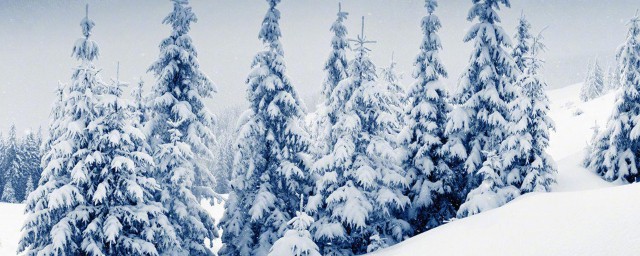 三十条唯美诗句送给你(十三句的诗词)