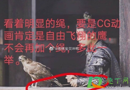 国家级保护动物能拍电视剧吗(国家二级保护动物可以用来拍戏吗)