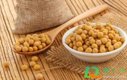 黄豆泡发多久合适(黄豆泡发要多久)