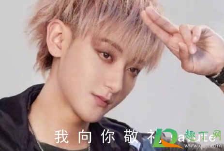 我向你敬礼salute什么梗(向你敬礼呀salute)