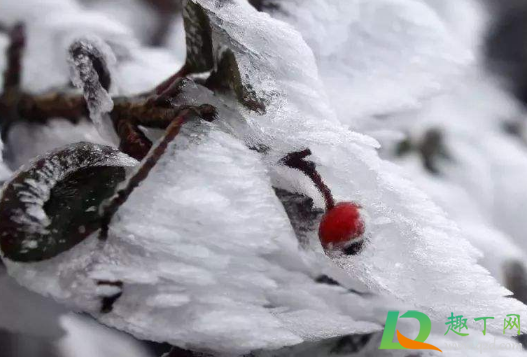 冬天雪多对庄稼好吗(冬天不下雪对庄稼有什么影响) 冬天雪多对庄稼好吗(冬天不下雪对庄稼有什么影响)