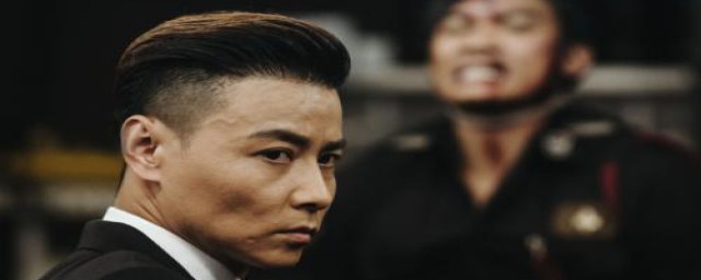 林展浩抗倭的电视剧介绍(林展浩南少林荡倭英豪电视剧)