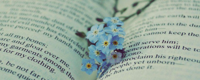 好词好句赶紧抄下来(好词好句摘抄下来)