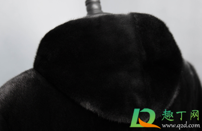 貂皮衣服怎么看出皮的好坏(怎么看貂皮的质量好与坏) 貂皮衣服怎么看出皮的好坏(怎么看貂皮的质量好与坏)