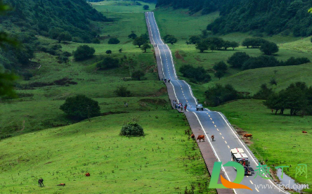 大瑞铁路是高铁还是普铁(大瑞铁路是双线吗) 大瑞铁路是高铁还是普铁(大瑞铁路是双线吗)