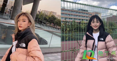 北面1996哪个颜色好看(北面1990哪个颜色最好看)