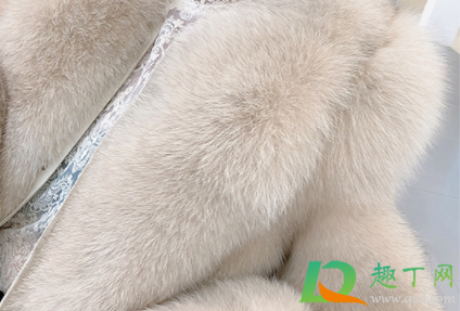 貂皮衣服怎么看出皮的好坏(怎么看貂皮的质量好与坏) 貂皮衣服怎么看出皮的好坏(怎么看貂皮的质量好与坏)