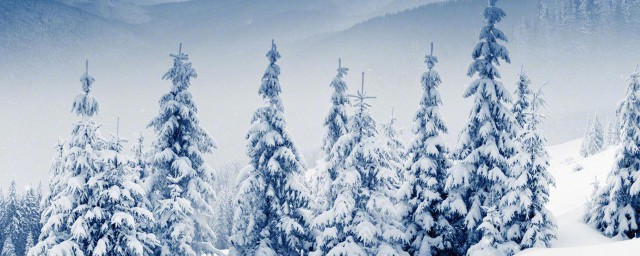 精致走心的经典说说(精致走心的句子句句经典)