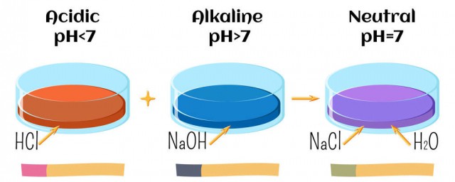 可以生成什么产物(形成的产物)