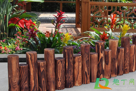 怎么把树干掏空做花盆(木桩怎么掏空做花盆) 怎么把树干掏空做花盆(木桩怎么掏空做花盆)