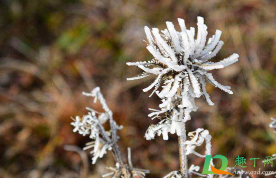 2021年冬天气温比往年是高还是低(2021年冬天最低气温)