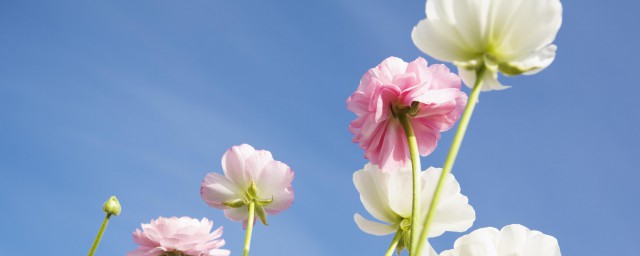 这些好多人都分不清(有些人分不清哪里好)