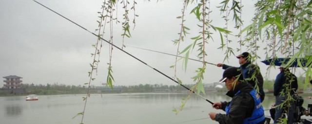 你明白了吗(仙剑一李逍遥问剑圣你明白了吗)