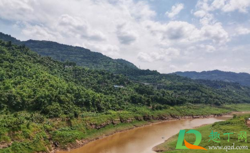 重庆过年适合旅游吗(今年过年可以去重庆旅游吗)