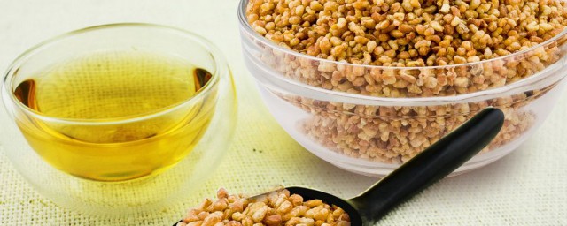 常喝苦荞茶好处多多(常吃苦荞茶好吗)