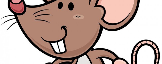 老鼠是哺乳动物吗(老鼠是什么类的哺乳动物)