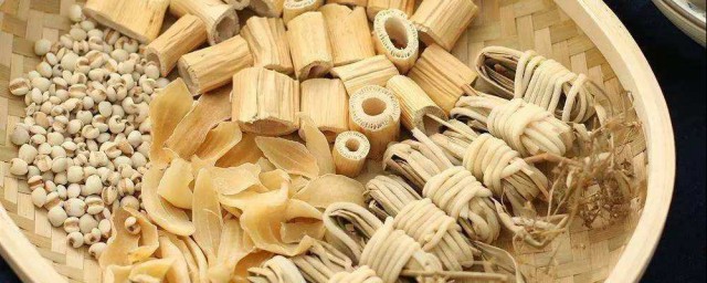 什么是芦根(什么是芦根汤)