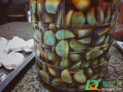 腊八蒜不到腊八可以泡吗(腊八为什么要泡蒜)