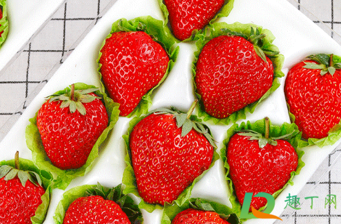 丹东草莓为啥那么贵(丹东草莓好么)