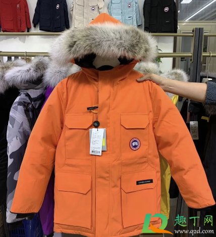 河南焦作桑坡村大鹅羽绒服多少钱(河南焦作的大鹅羽绒服) 河南焦作桑坡村大鹅羽绒服多少钱(河南焦作的大鹅羽绒服)