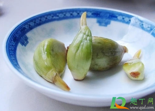 腊八蒜要去皮吗(腊八蒜剥完皮不洗行吗) 腊八蒜要去皮吗(腊八蒜剥完皮不洗行吗)