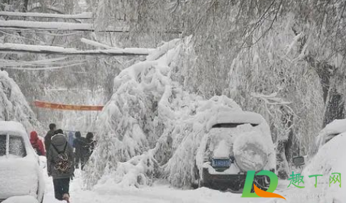 今年寒假放多少天2020(今年寒假放多少天2021)