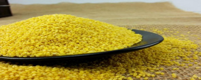 米只能是大米吗(大米有区别吗)