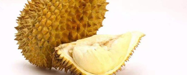 榴莲是热带果王吗(榴莲是什么水果之王)