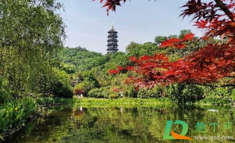 重庆过年适合旅游吗(今年过年可以去重庆旅游吗) 重庆过年适合旅游吗(今年过年可以去重庆旅游吗)