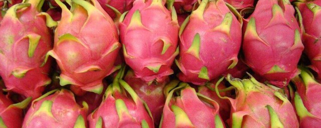 红心火龙果有什么功效(红心火龙果有什么功效与价值)