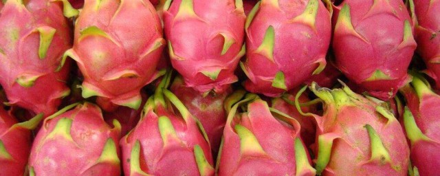 孕妇吃火龙果有什么好处(孕妇吃火龙果有什么好处果好吗)