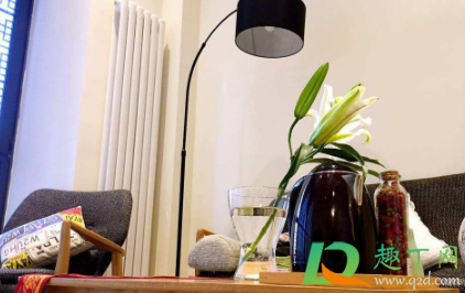 暖气片正确安装方法图(两组暖气片正确安装方法图)