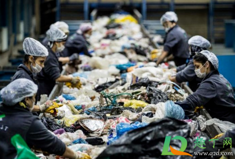 2021年起全面禁止进口洋垃圾(从几几年开始禁止进口洋垃圾)