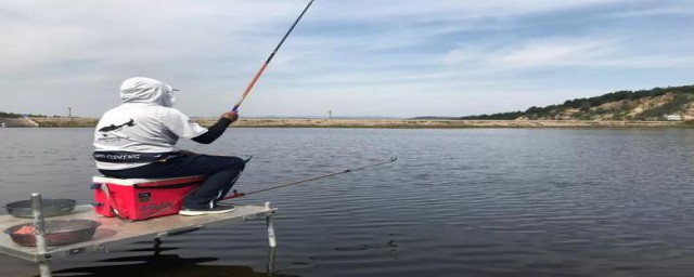 春天野钓鲫鱼用什么饵料好(春夏季钓鲫鱼用什么饵料)