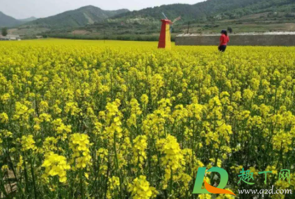 油然而生的意思是啥(油然而生什么意思?)