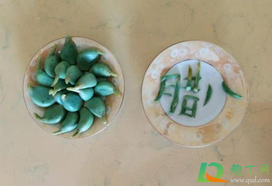 腊八蒜不变色能吃吗(腊八蒜不变颜色)