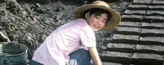 牧马人影评(牧马人影评镜头分析)