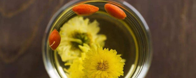 任何人都适合喝野菊花茶吗(经常喝野菊花茶有什么好处)