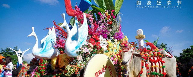胞波情谊开始于哪一年(胞波之情的来源)