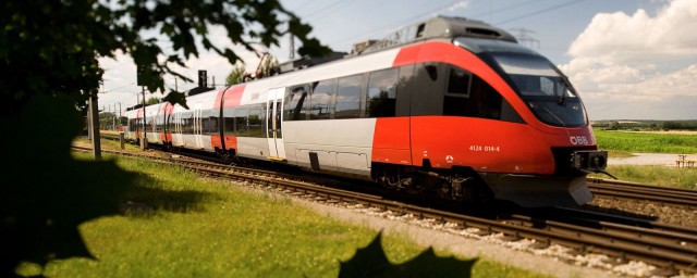 铁路进站乘车禁止和限制携带物品有哪些(铁路进站乘客禁止携带物品目录)