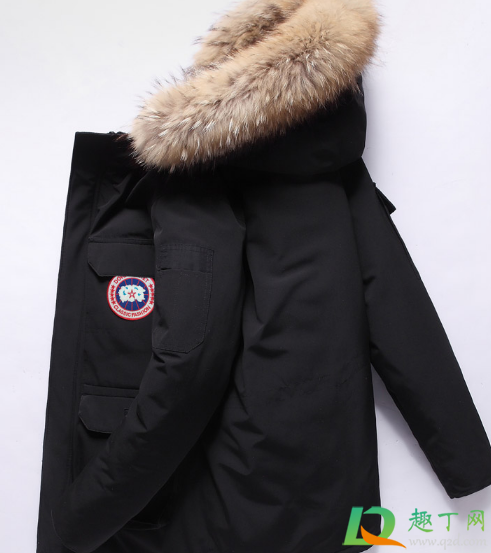 河南焦作大鹅工厂是真的吗(焦作的大鹅是正品吗)