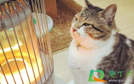 我脸烤火烤红了怎么办(脸被大火烤红了怎么办)