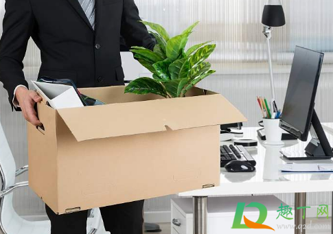 年底提离职年终奖会没吗(年底提前离职,能拿到年终奖吗)