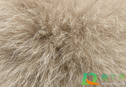 貂皮大衣有油怎么处理(貂皮大衣油渍怎么办) 貂皮大衣有油怎么处理(貂皮大衣油渍怎么办)