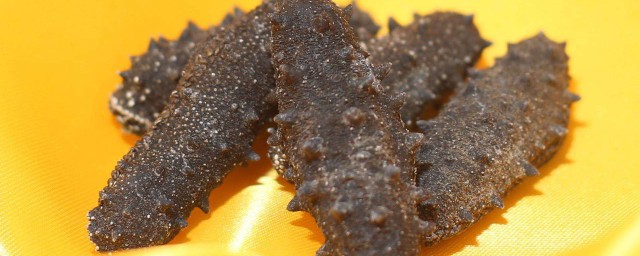 海参的有多少种类(海参分多少种类)