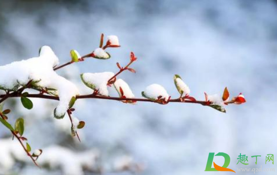 2021年2月是什么季节(2021年二月份是什么年) 2021年2月是什么季节(2021年二月份是什么年)