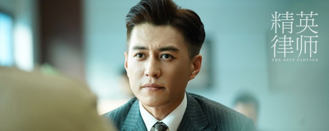 精英律师简介(精英律师简介罗宾和谁在一起了)
