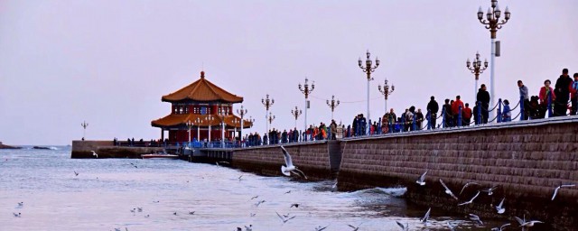 青岛有教堂吗(青岛教堂在哪个位置)